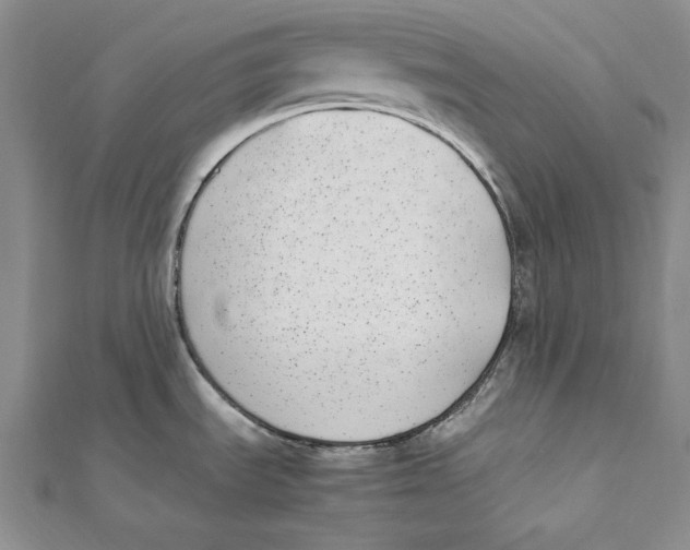 X0000112041535200908311226
