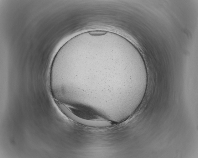 X0000112041536200908311226