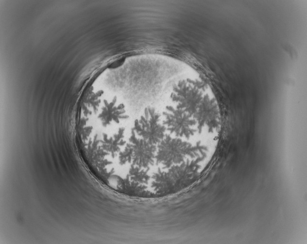 X0000112040002200909141127