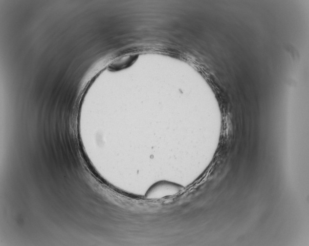 X0000112040004200909141127