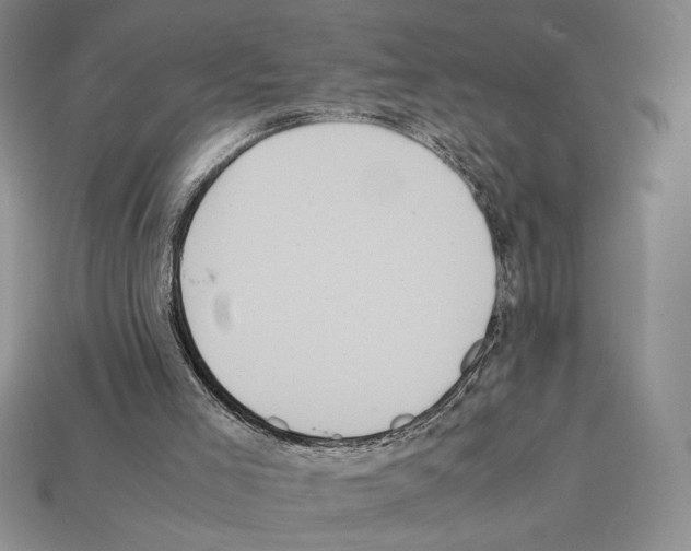 X0000112040005200909141127