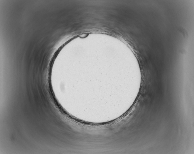 X0000112040008200909141126
