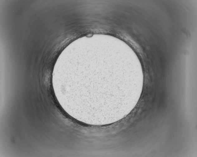 X0000112040009200909141126
