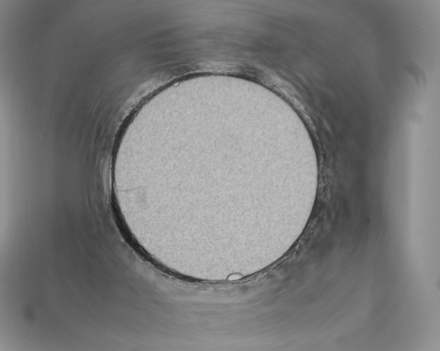 X0000112040011200909141126
