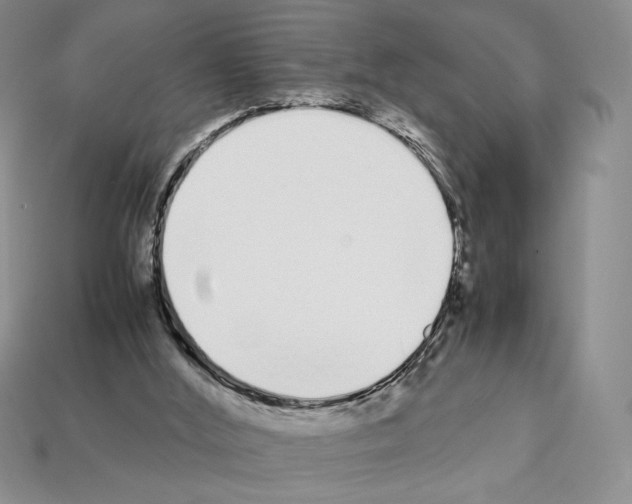X0000112040012200909141126