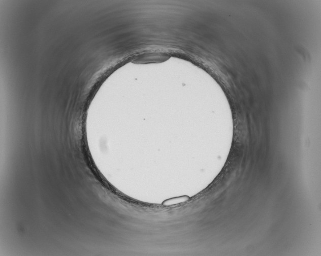 X0000112040015200909141126