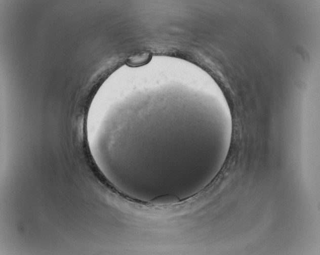 X0000112040019200909141126