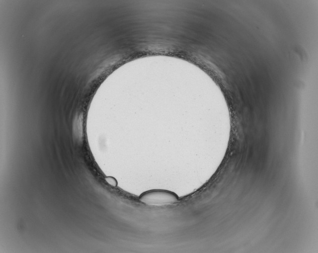 X0000112040020200909141126