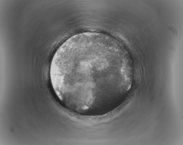 X0000112040023200909141126