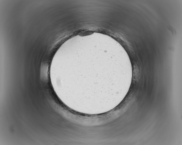 X0000112040024200909141126