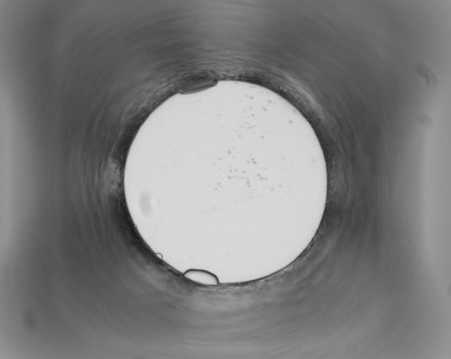 X0000112040025200909141126