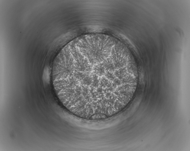 X0000112040026200909141126
