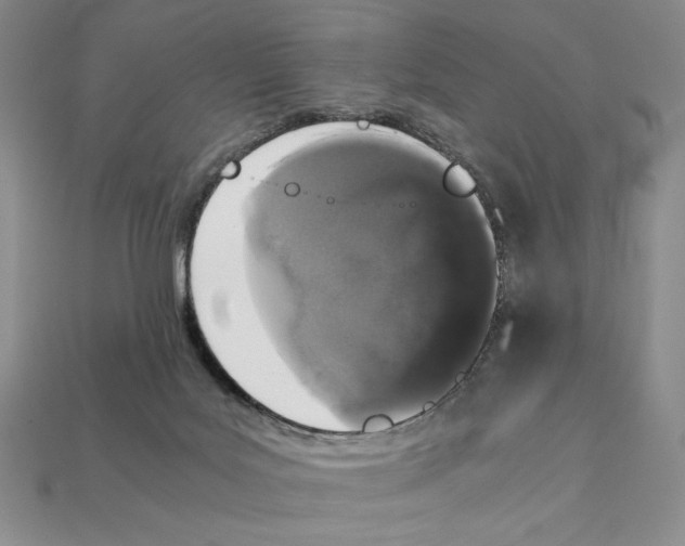 X0000112040027200909141126