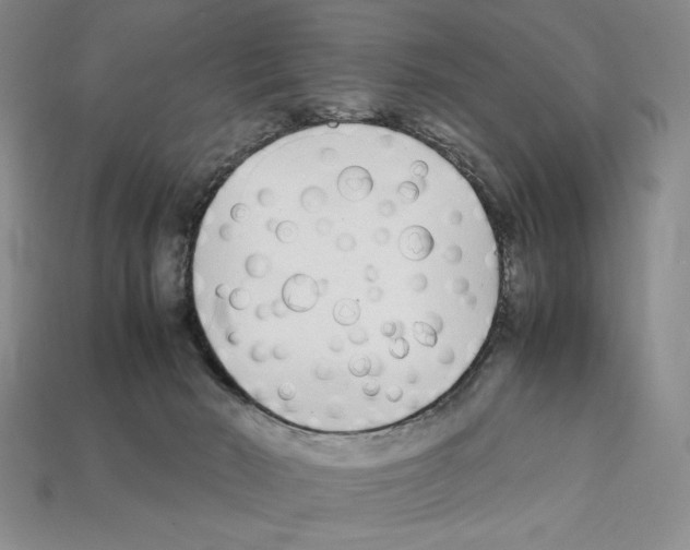 X0000112040030200909141126