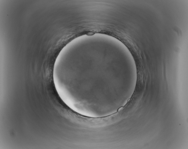 X0000112040031200909141126
