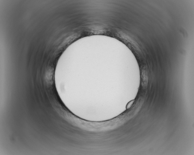 X0000112040034200909141126