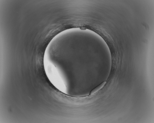 X0000112040035200909141126