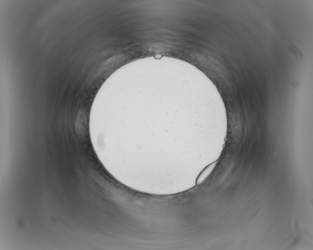 X0000112040036200909141126