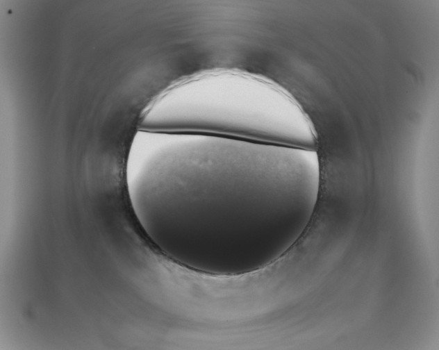 X0000112040039200909141126