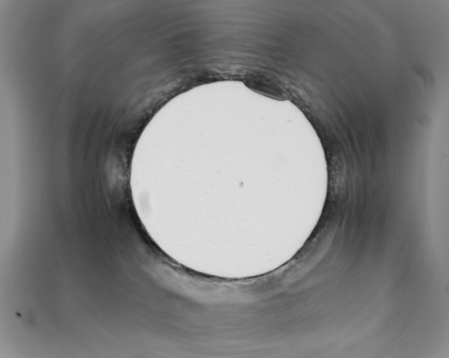X0000112040040200909141126