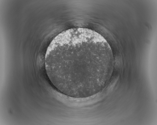 X0000112040043200909141126