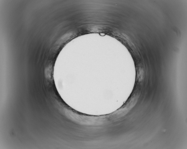 X0000112040044200909141126