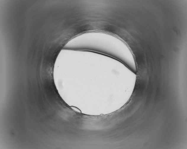 X0000112040045200909141126