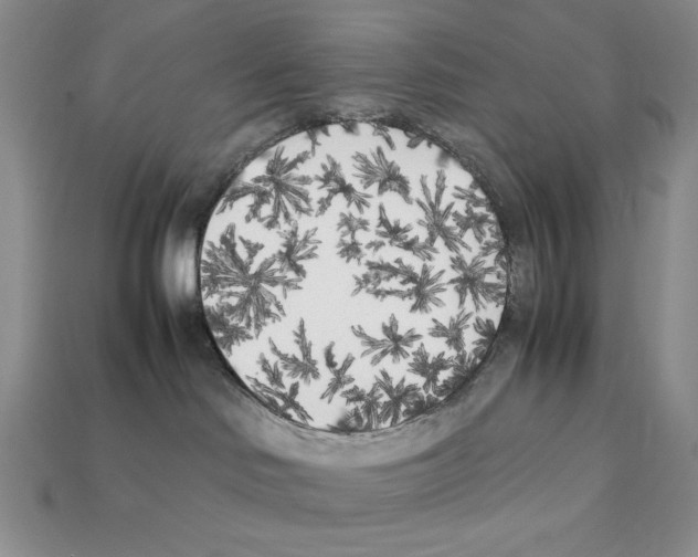 X0000112040046200909141126