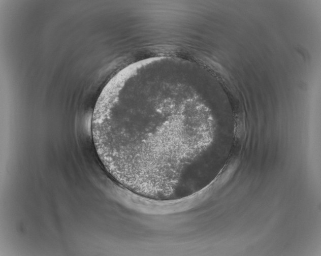 X0000112040047200909141126