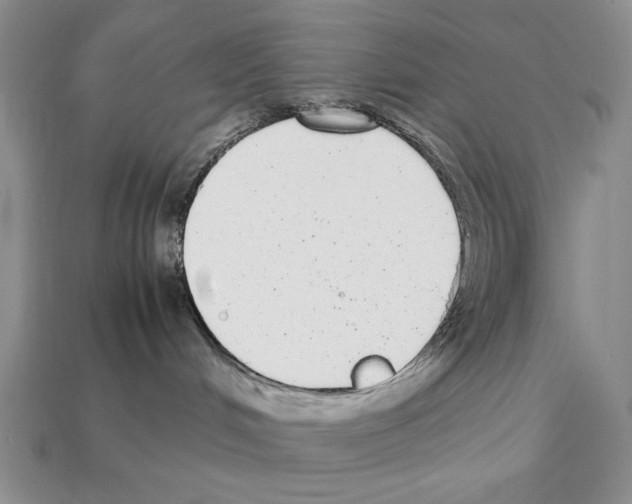 X0000112040048200909141126