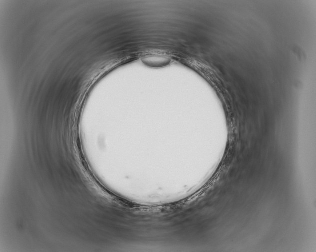 X0000112040049200909141125