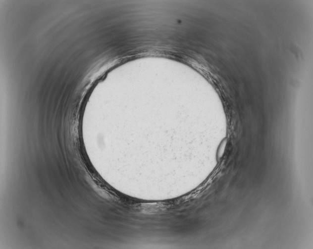X0000112040050200909141125