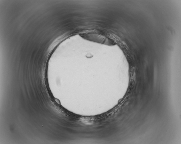 X0000112040051200909141125