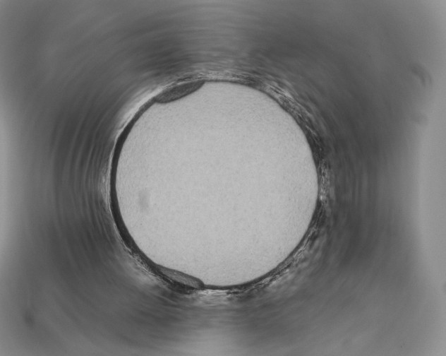 X0000112040052200909141125