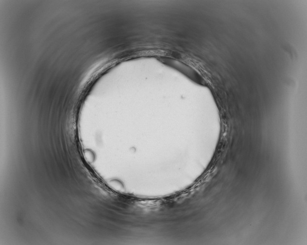X0000112040053200909141125