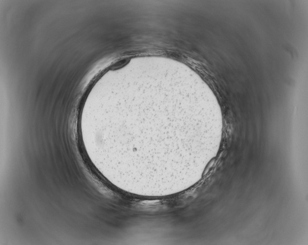 X0000112040054200909141125