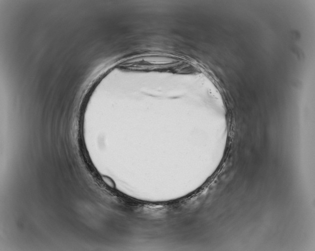 X0000112040055200909141125