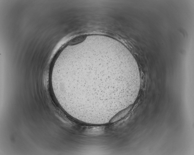 X0000112040056200909141125