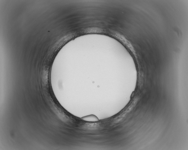 X0000112040057200909141125