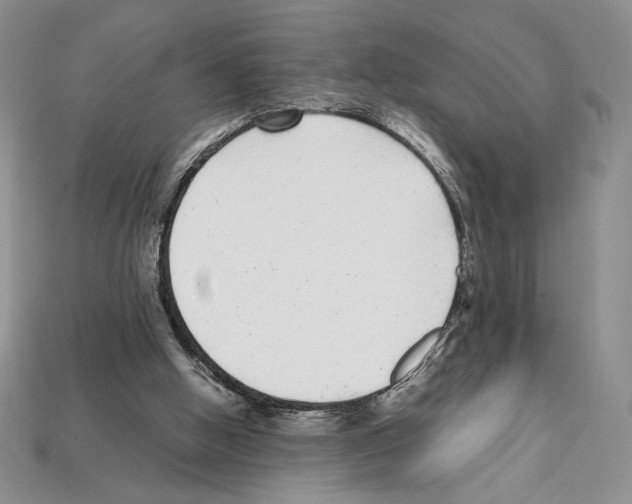 X0000112040058200909141125