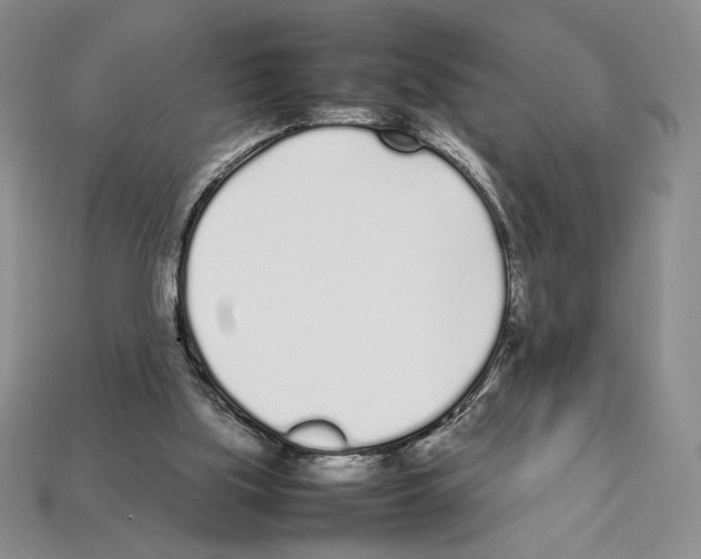 X0000112040059200909141125