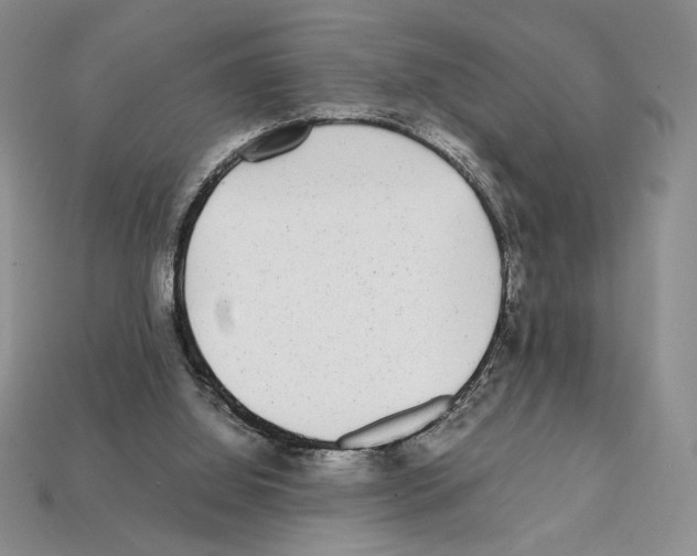 X0000112040060200909141125