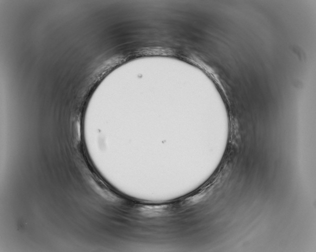 X0000112040061200909141126
