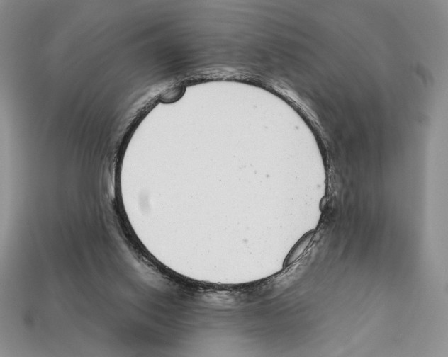 X0000112040062200909141126