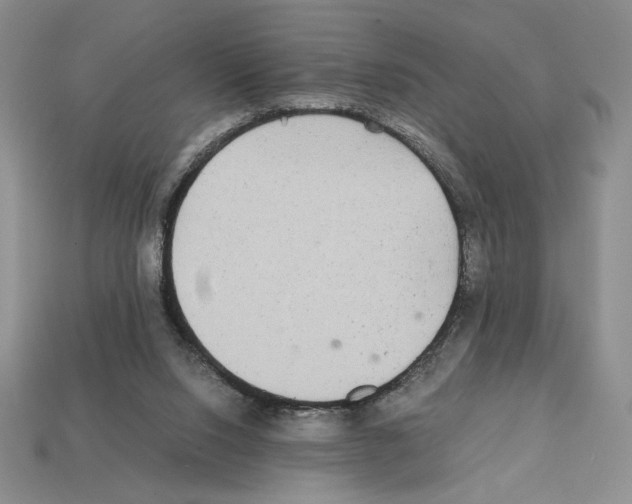 X0000112040064200909141126