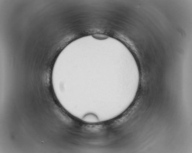 X0000112040065200909141126