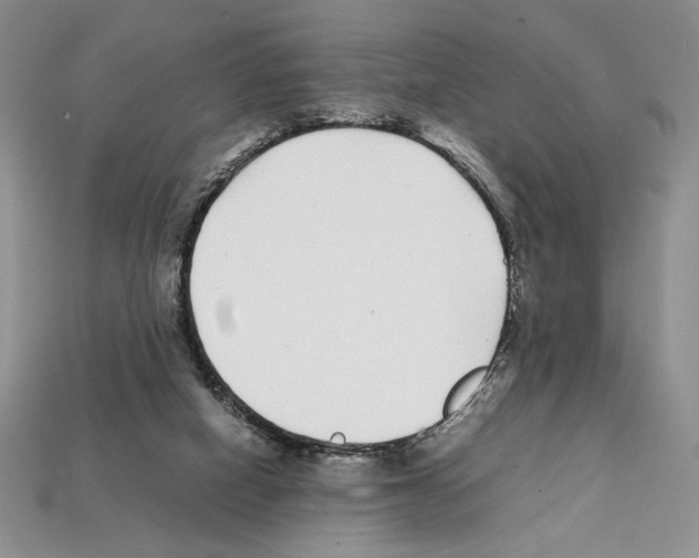 X0000112040066200909141126