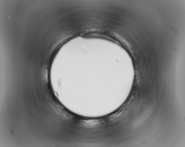 X0000112040067200909141126