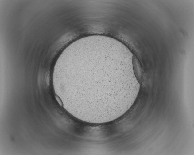 X0000112040068200909141126
