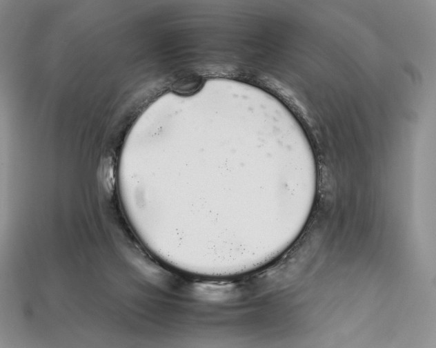 X0000112040069200909141126